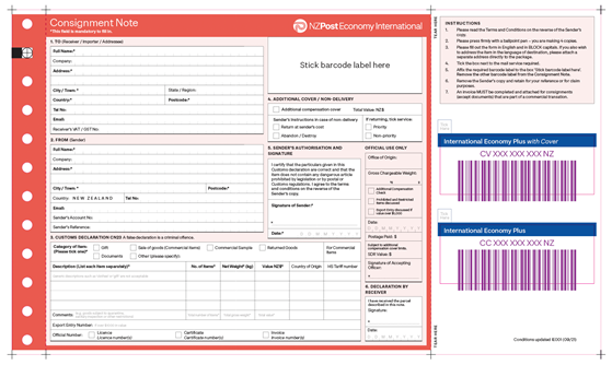 Economy Plus international business consignment note (CN23)