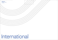 Courier International Cardboard Box (25kg)