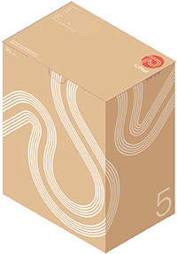 Size 5 Box